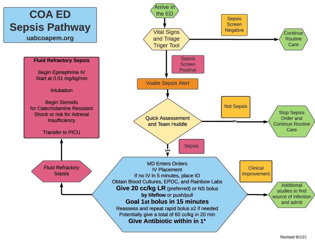 Sepsis Flow Chart.pdf Sepsis – UAB|COA Pediatric Emergency Medicine